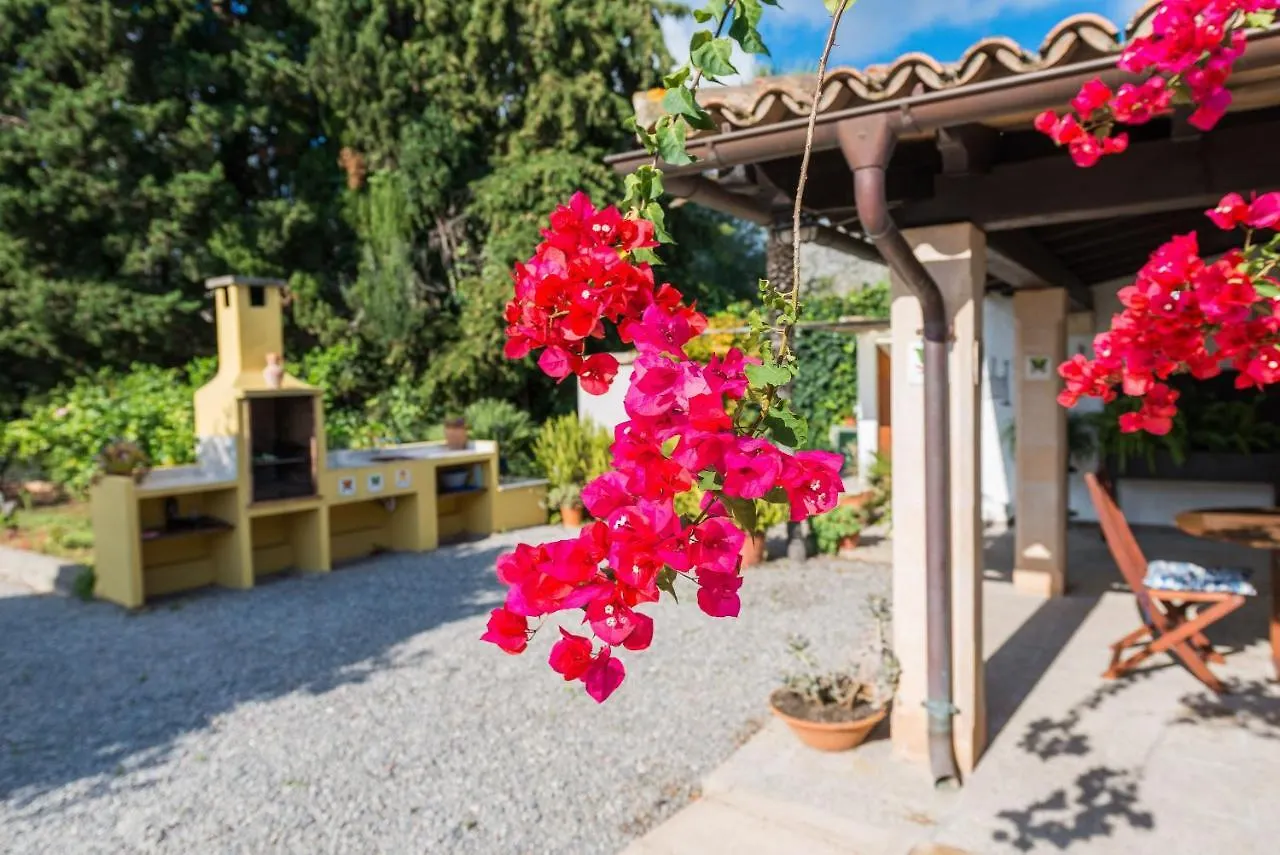 Cal Lloro Villa Pollenca